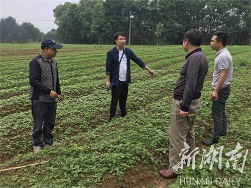 湖南中藥材種植,藥品批發,湖南神舟中藥飲片有限公司