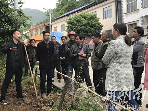 湖南中藥材種植,藥品批發,湖南神舟中藥飲片有限公司